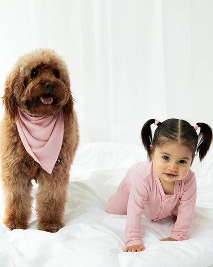 Bandanas para mascotas