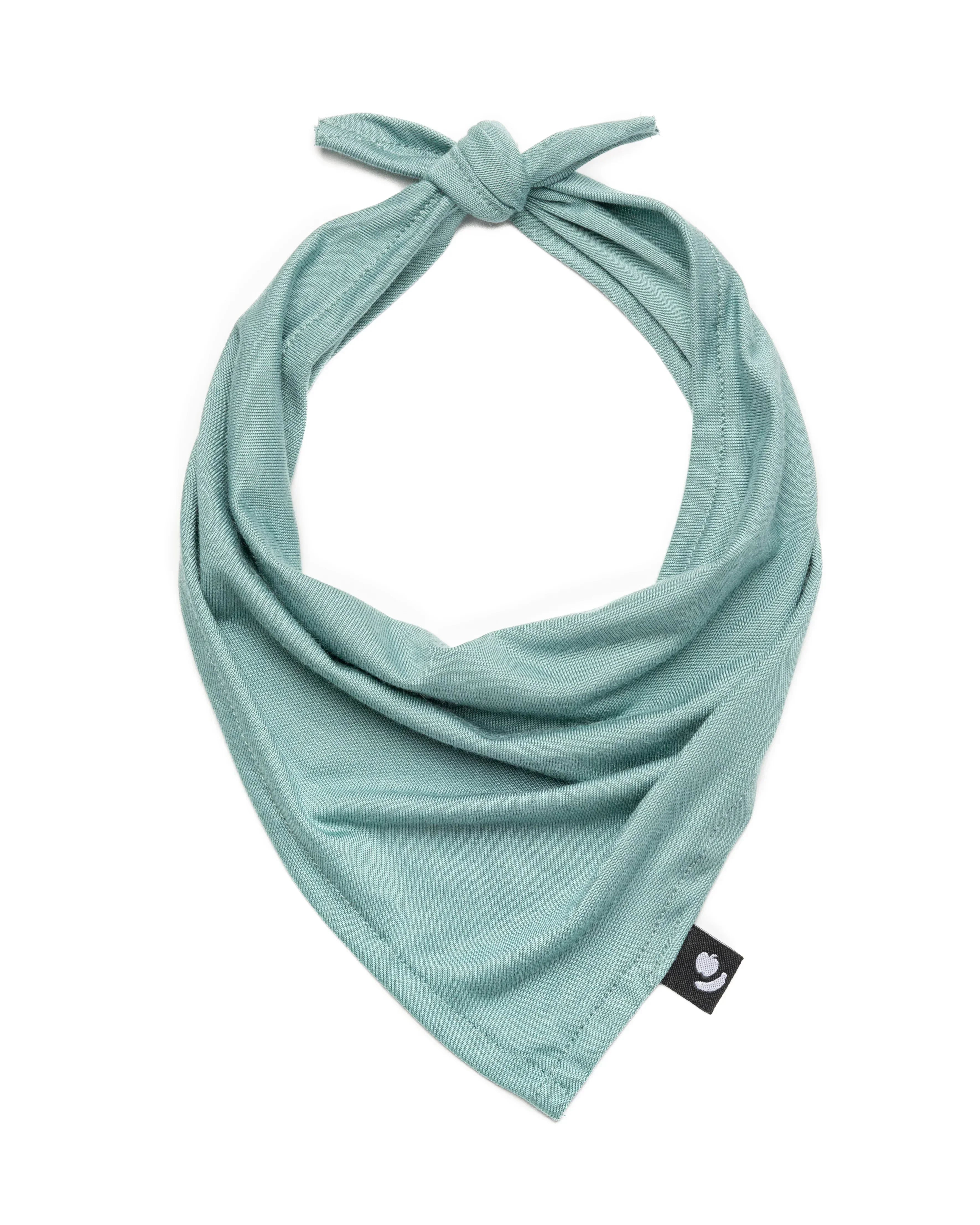 Bandanas para mascotas