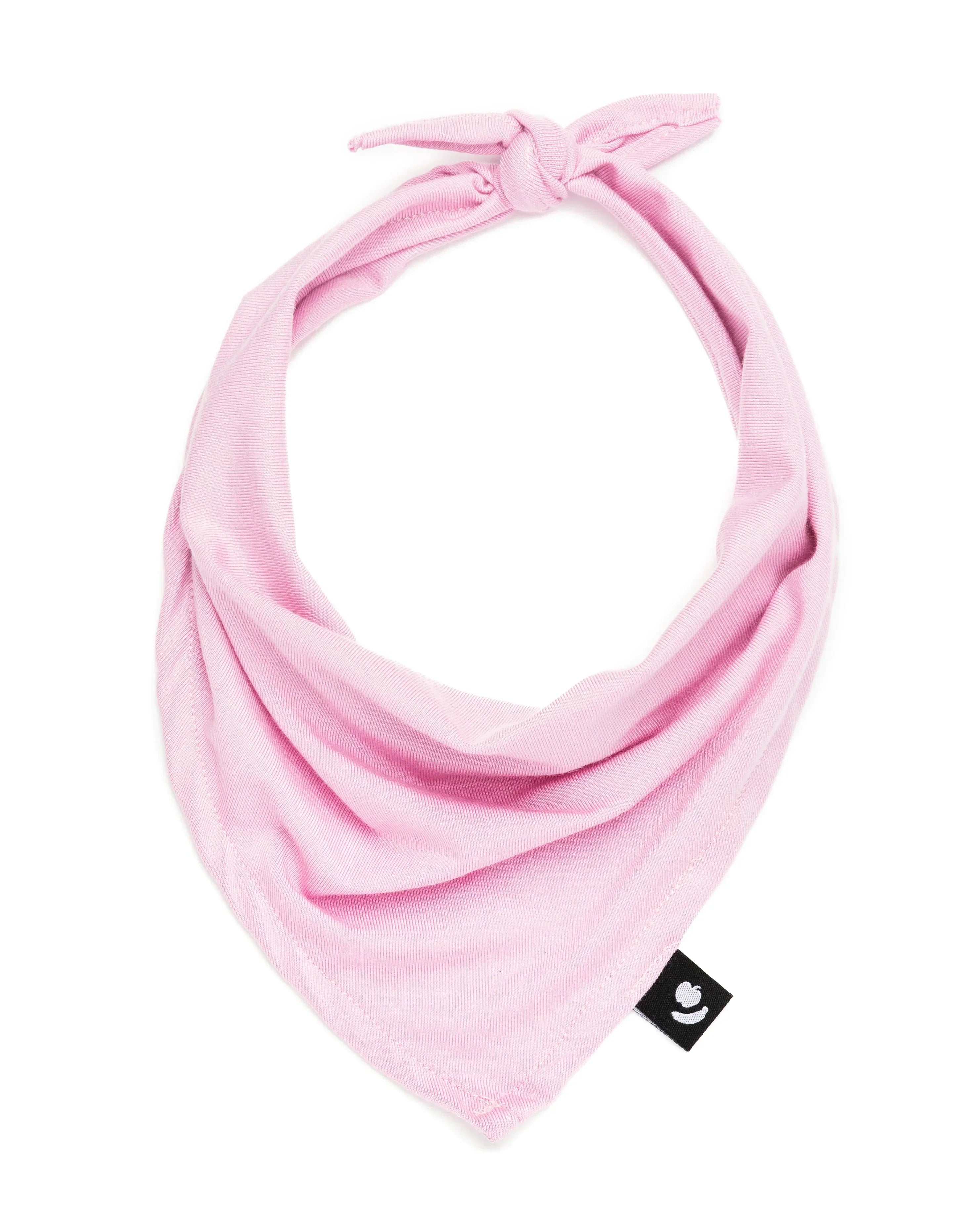 Bandanas para mascotas