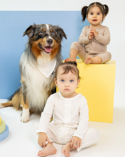 Mameluco magnético sin pie + Bandanas para mascotas